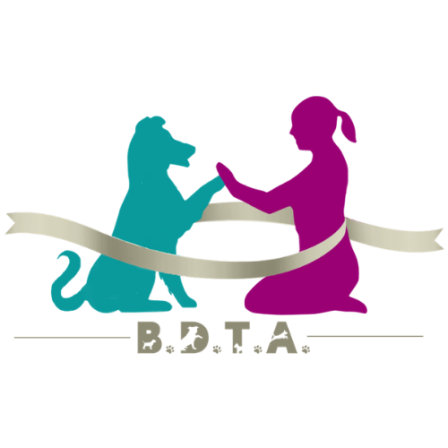 Brook's Dog Training Academy