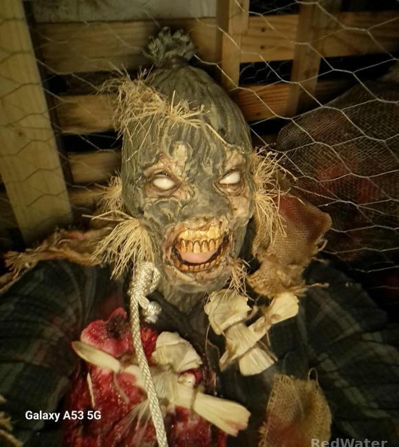 A terrifying scarecrow face with pieces of the flesh missing, the gums and teeth showing through, and hay poking out through the skin.